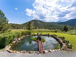 Pond Views 2